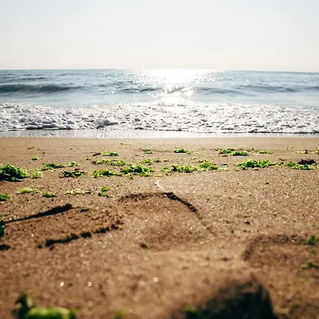 Byala 4* Byala (Varna)